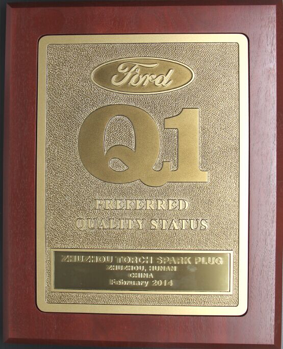 2014 Awarded by Ford Q1
