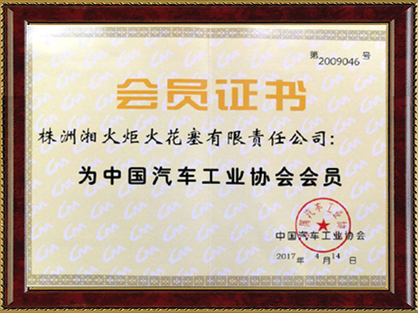 Member of China Automobile Industry Association